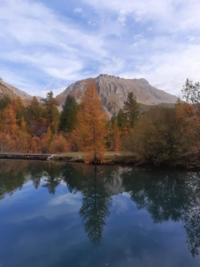 Chalet Miel De La Cayolle-Estenc Entraunes Экстерьер фото